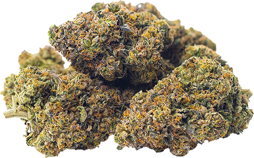 Cotton Candy Strain Guide Verano cotton-candy-strain-guide-verano